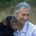 Fierce Woman Jane Goodall: Inspiring Female Scientists Around the World